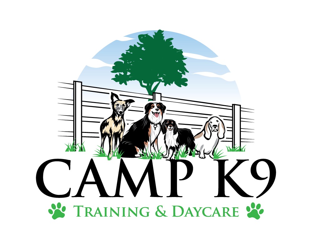 Camp K9 Training & Daycare